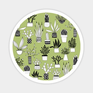 Cactus, Cacti and Succulent Drawings Magnet